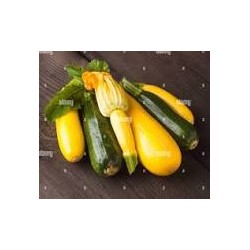 Courgette verte et jaune 1kg