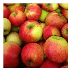 Pomme Jonagold 950/1050g