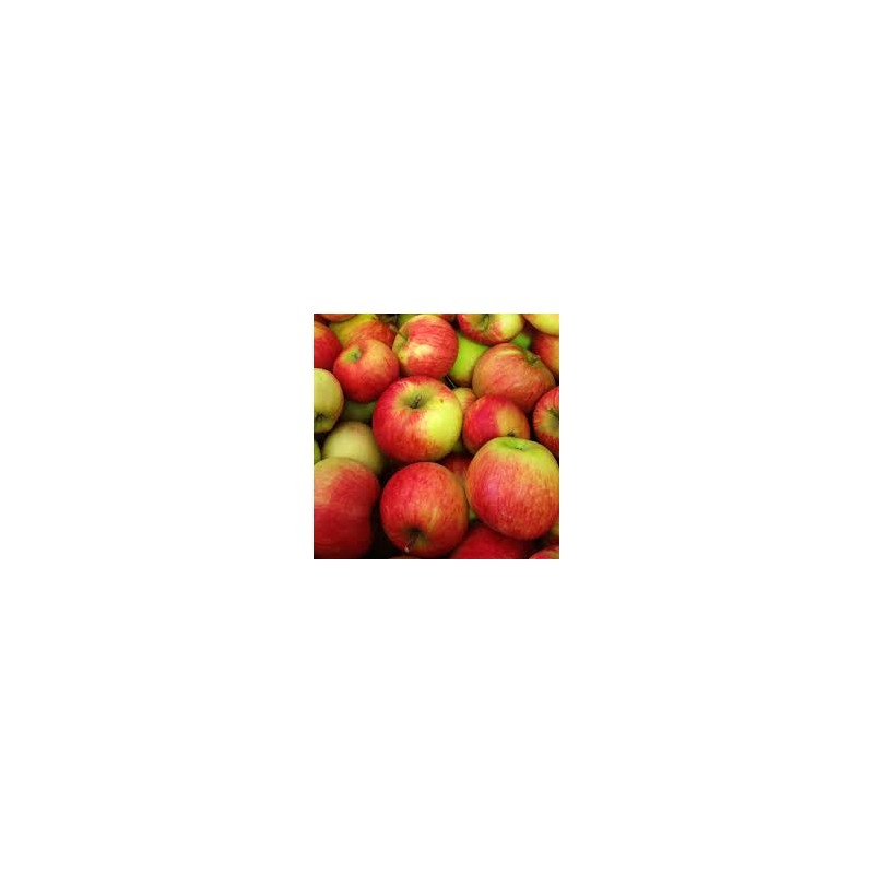 Pomme Jonagold 950/1050g