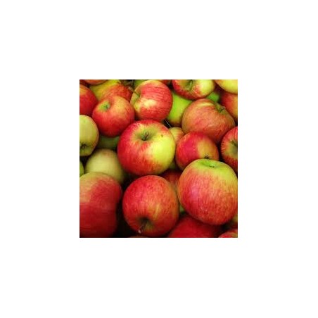 Pomme Jonagold 950/1050g