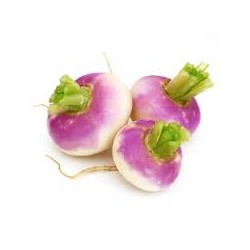 Navets violet 500g