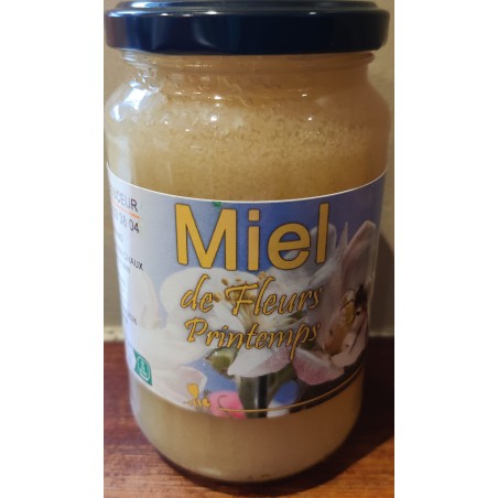 Miel fleurs de printemps 500g