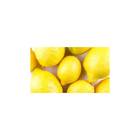 Citron 480/520g