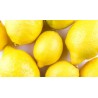 Citron 480/520g