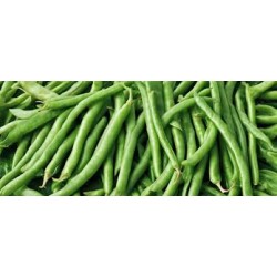 Haricots verts 1kg