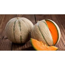 Melon