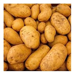 Pomme de terre ratte 1kg