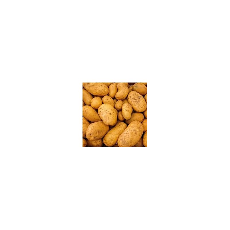 Pomme de terre ratte 1kg