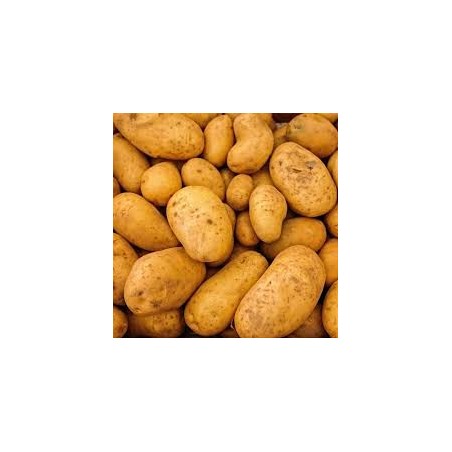 Pomme de terre ratte 1kg